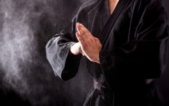 Digitsu Review | Online Source of Quality Martial Arts Instructional Videos