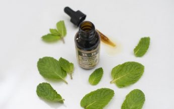 Joy Organics Review | Superior Quality Of CBD Oils